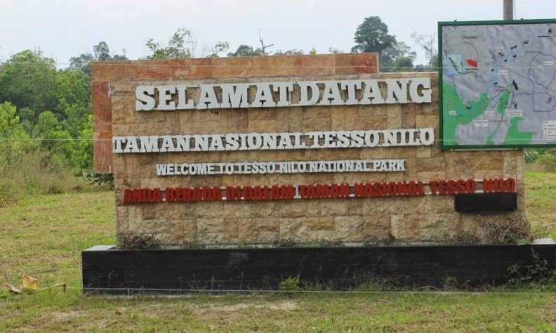 Kasus Tesso Nilo Dipicu Ketidaktegasan Pemerintah