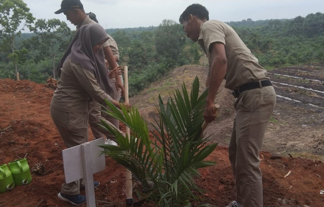 Ini Jurus BPDP Percepat Program PSR