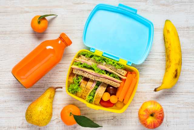 Kotak bekal sehat untuk anak 2025