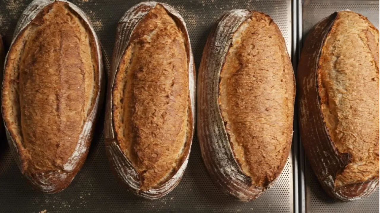 L’ancienne: mendefinisikan ulang roti dalam keahlian memasak